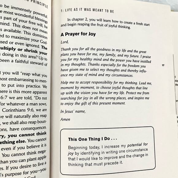 The 4:8 Principle: The Secret to a Joy-Filled Life - Book by Tommy Newberry - Picture 7 of 8